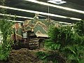 DSCF5403