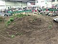 DSCF5599
