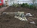 IMG_0089
