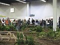 IMG_0234