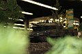 IMG_0959