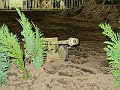 IMG_0748