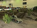 IMG_0753