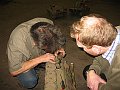 IMG_6779