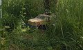 DSCN0818-2